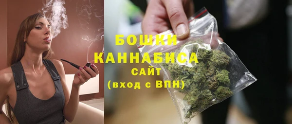 шишки Рославль