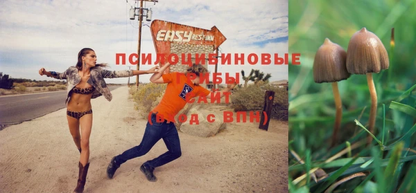 прущая мука Россошь