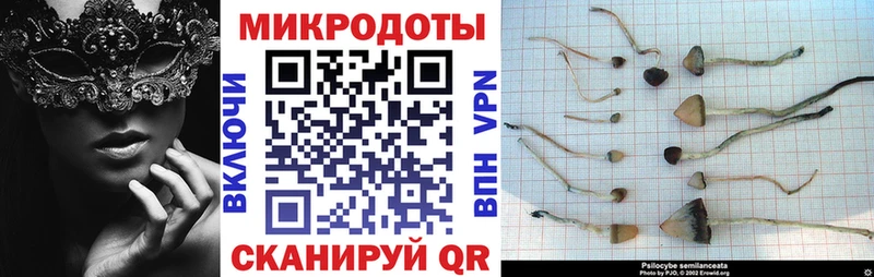 как найти закладки KRAKEN ONION Псилоцибиновые грибы MAGIC MUSHROOMS Весьегонск